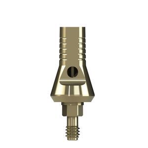 Implantat-Abutment / Titan 1