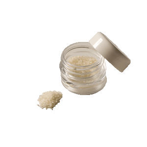 Allograft-Knochenersatzmaterial 1
