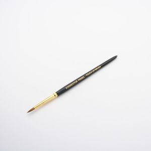 Pinsel für Zahnlabor