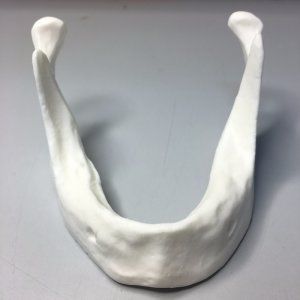 Anatomisches Modell / Unterkiefer 1