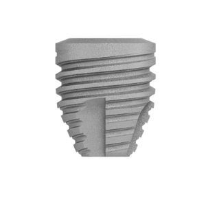 konisches Implantat-Abutment 1