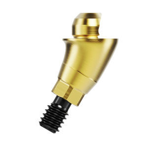 Implantat-Abutment / Titan 1
