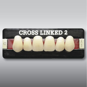 Acrylzahnprothese