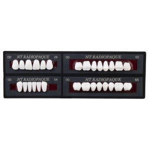 Zahnprothese 1