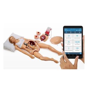 Patientensimulator für Entbindungen 1