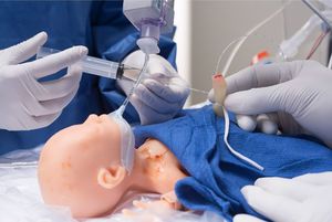 Patientensimulator für Gefäßzugang 1