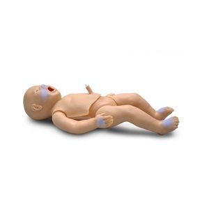 Patientensimulator für Katheterisierung 1