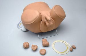Simulator für Katheterisierung 1