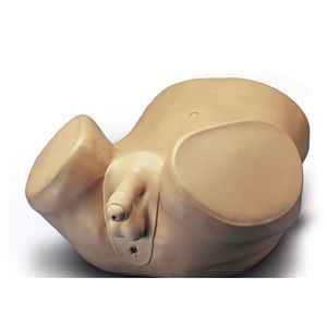 Simulator für Prostatauntersuchung 1
