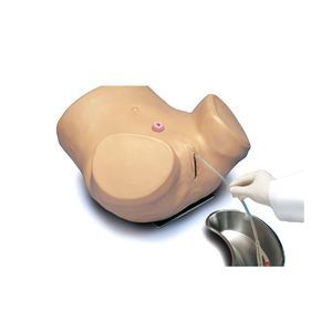 Simulator für Katheterisierung 1