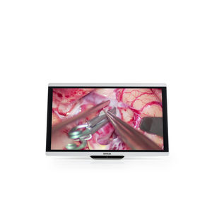 medizinisch Monitor