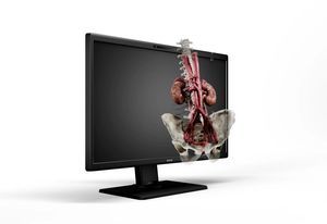 Monitor für OP-Bereich