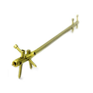 Marknagel / Humerus