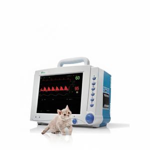 tragbarer Multiparameter-Monitor 1