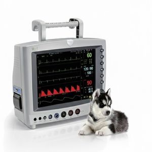 tragbarer Multiparameter-Monitor 1
