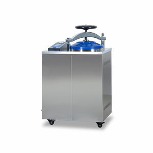 Medizinischer Sterilisator / Dampf 1