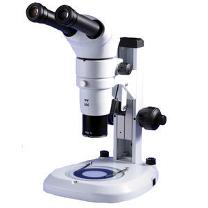 binokulares Stereomikroskop 1