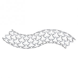 Stent / Arteria iliaca
