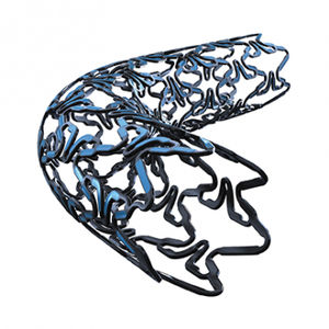 Koronararterien-Stent 1