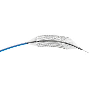 peripherer Stent 1