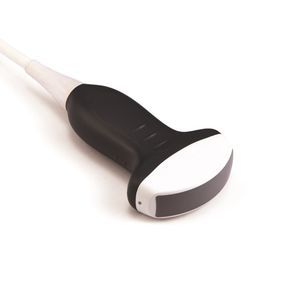 konvexe Ultraschallsonde 1