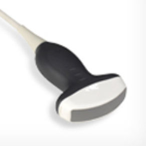 konvexe Ultraschallsonde 1