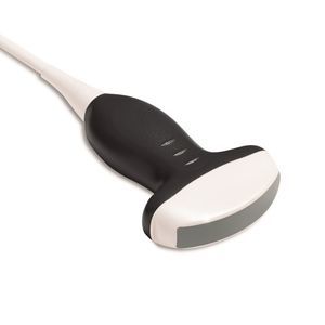 konvexe Ultraschallsonde 1