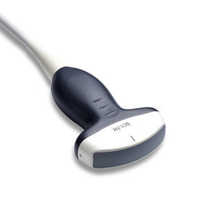konvexe Ultraschallsonde 1