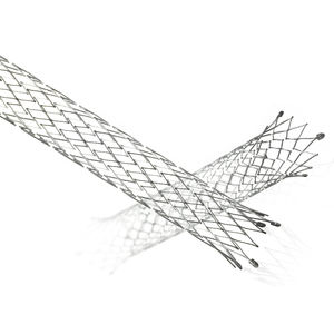 Gallenstent 1