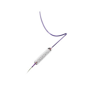 peripherer Stent 1