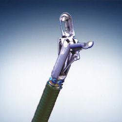 endoskopische Zange