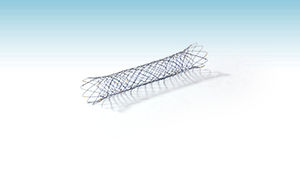 Gallenstent 1