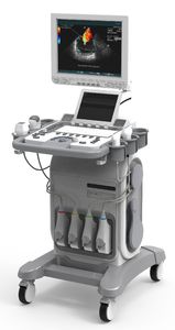 plattformmontiertes Ultraschallgerät 1