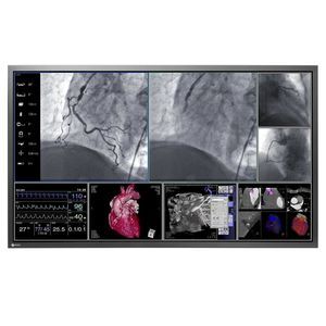Diagnose-Monitor