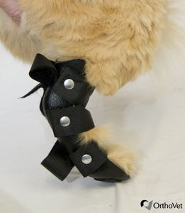 Veterinär-Schiene / für Pfote