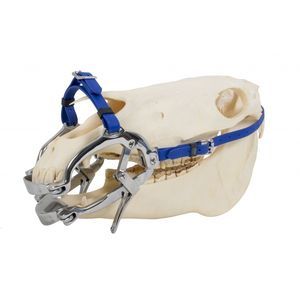 Dental-Veterinärspekulum 1