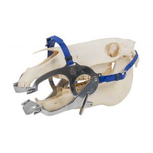 Dental-Veterinärspekulum 1