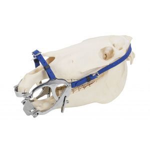 Dental-Veterinärspekulum 1