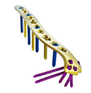 Kompressionsplatte für Humerus 1