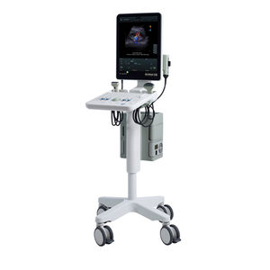 Ultraschallgerät mit Konsole