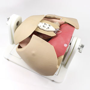 Simulator für minimalinvasive Chirurgie