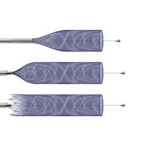 intrakranieller Stent