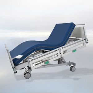 Dialysebett 1