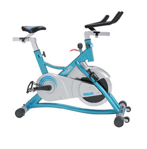 Heimtrainer