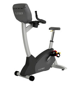 Heimtrainer 1