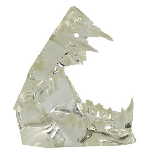 Anatomisches Modell / Kiefer 1