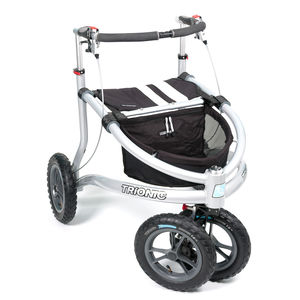 Rollator mit 4 Rädern