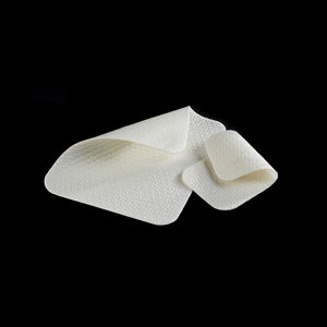 Bauch-Hernienprothese