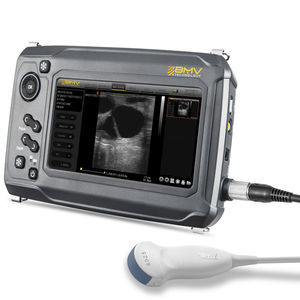 Tierärztliches Ultraschallsystem / Handgerät 1