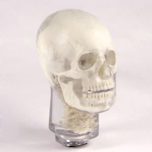 Testphantom für Röntgenzwecke 1